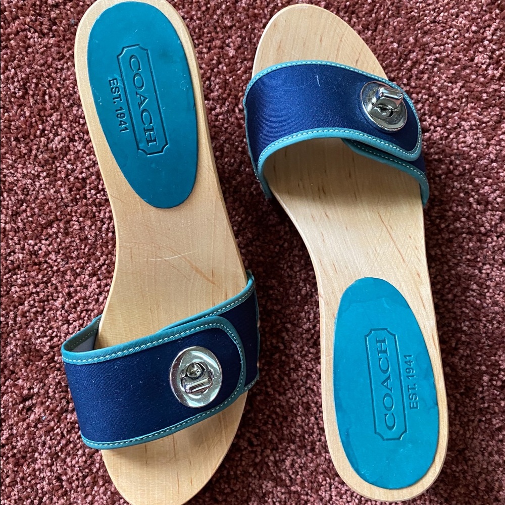 Blue Coach Heels 👠
